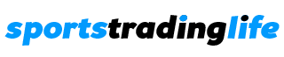STL LOGO REVERSE 2015 PNG